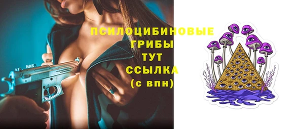МДПВ Бугульма