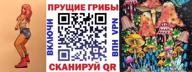 Псилоцибиновые грибы GOLDEN TEACHER  KRAKEN ТОР  Черкесск  как найти закладки 